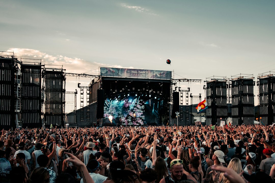 crowd at music festival