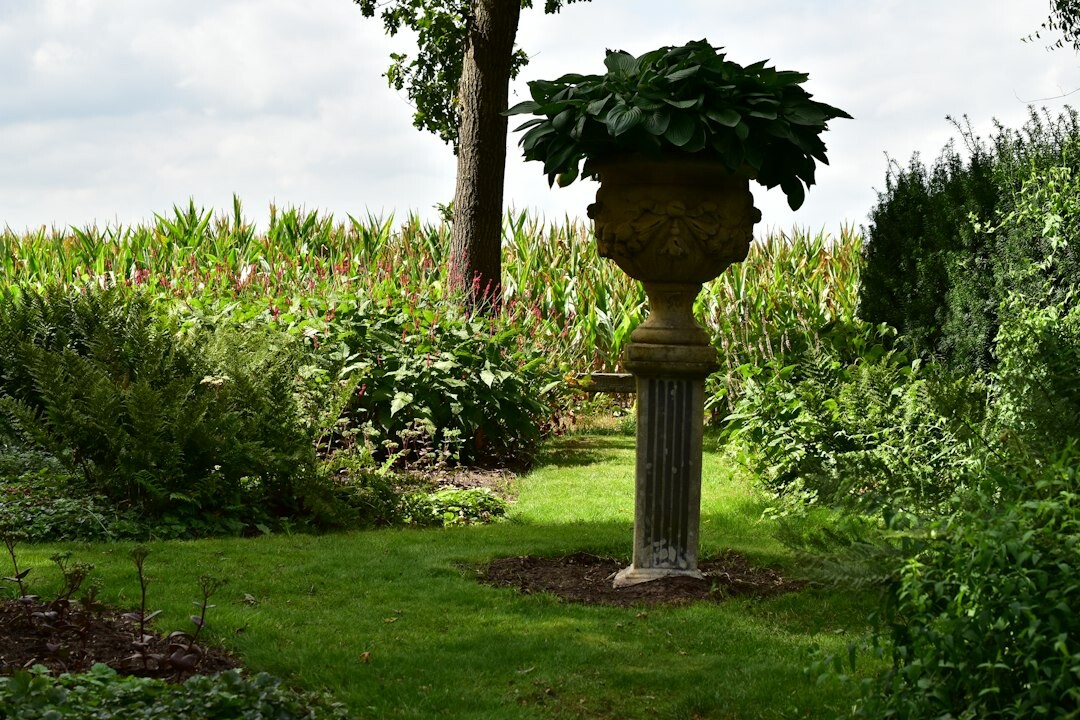 singer in natural landscape setting